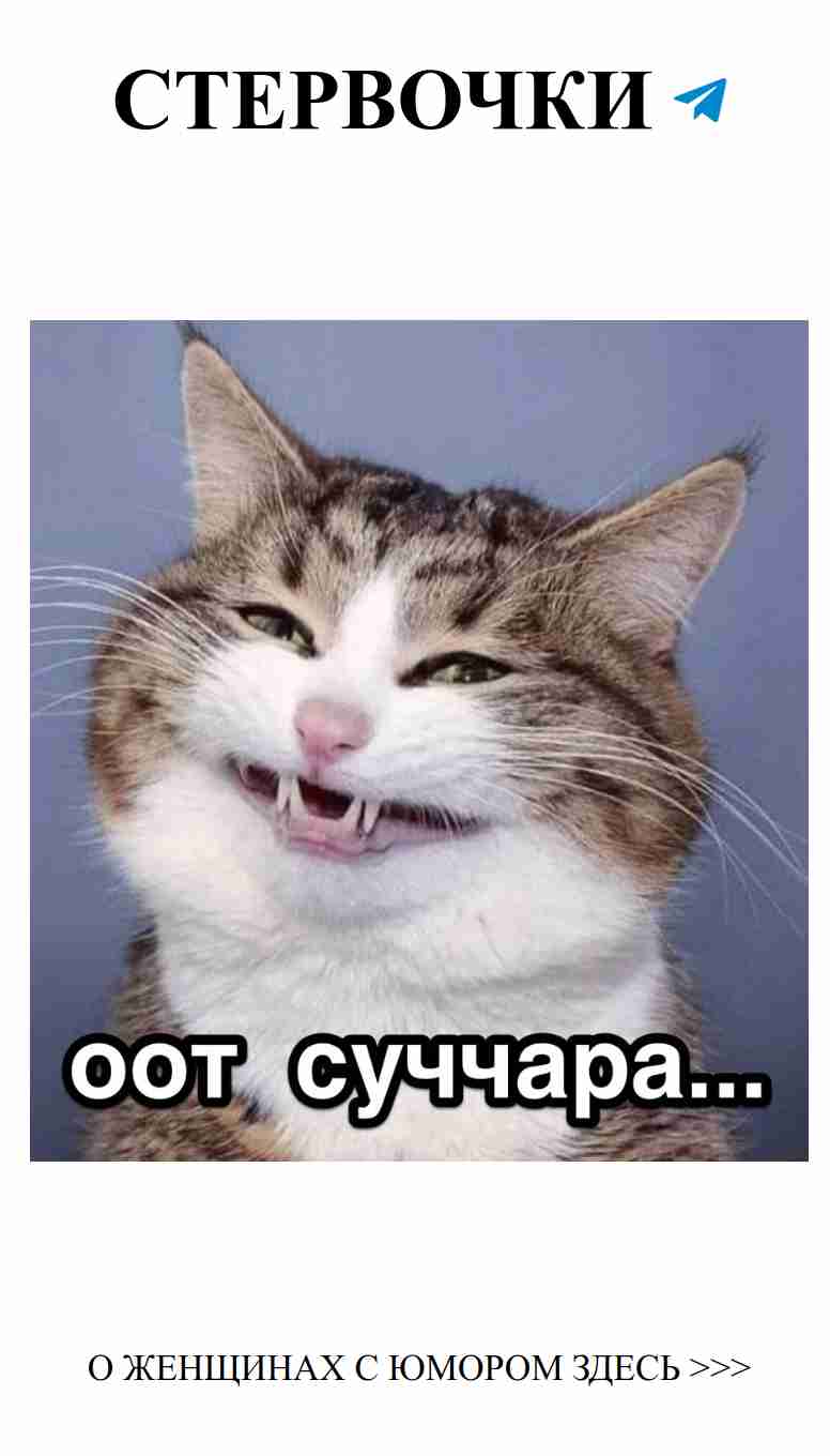 Смешные моменты любви, которые поймет каждая женщина Смешные моменты любви, которые поймет каждая женщина