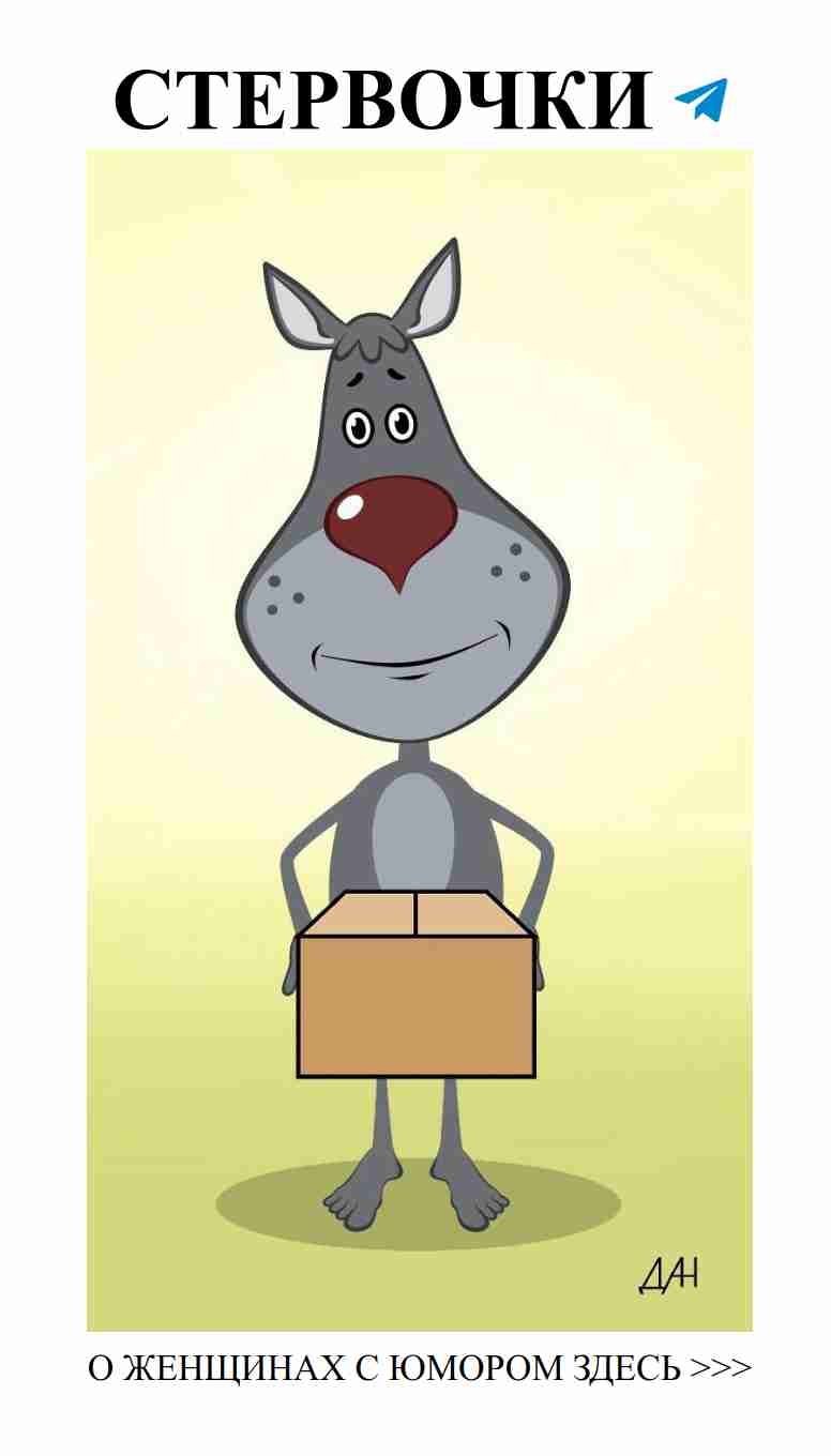 Когда волк поздравляет с днем рождения, смех и любовь в сердце! Когда волк поздравляет с днем рождения, смех и любовь в сердце!