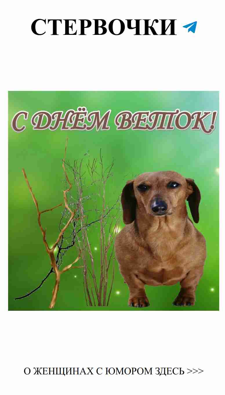 Смех и любовь: как не рассмеяться в процессе поиска счастья Смех и любовь: как не рассмеяться в процессе поиска счастья