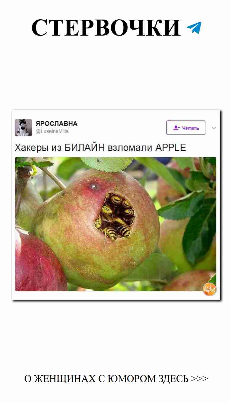 Когда любовь смеется, мир становится ярче! Когда любовь смеется, мир становится ярче!