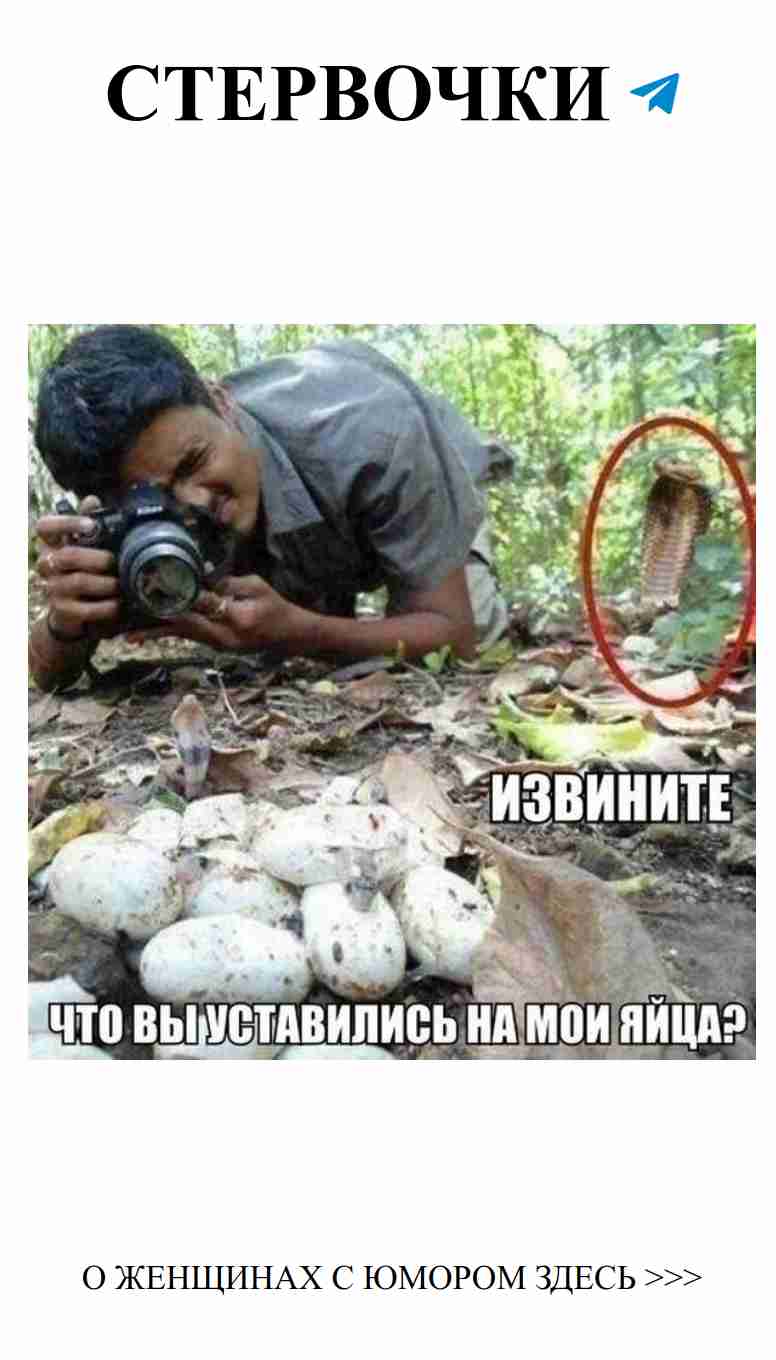 Любовные приколы: вспомним самые смешные моменты Любовные приколы: вспомним самые смешные моменты