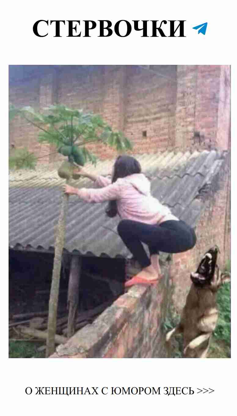 Утренние фото, которые заставят тебя улыбнуться Утренние фото, которые заставят тебя улыбнуться