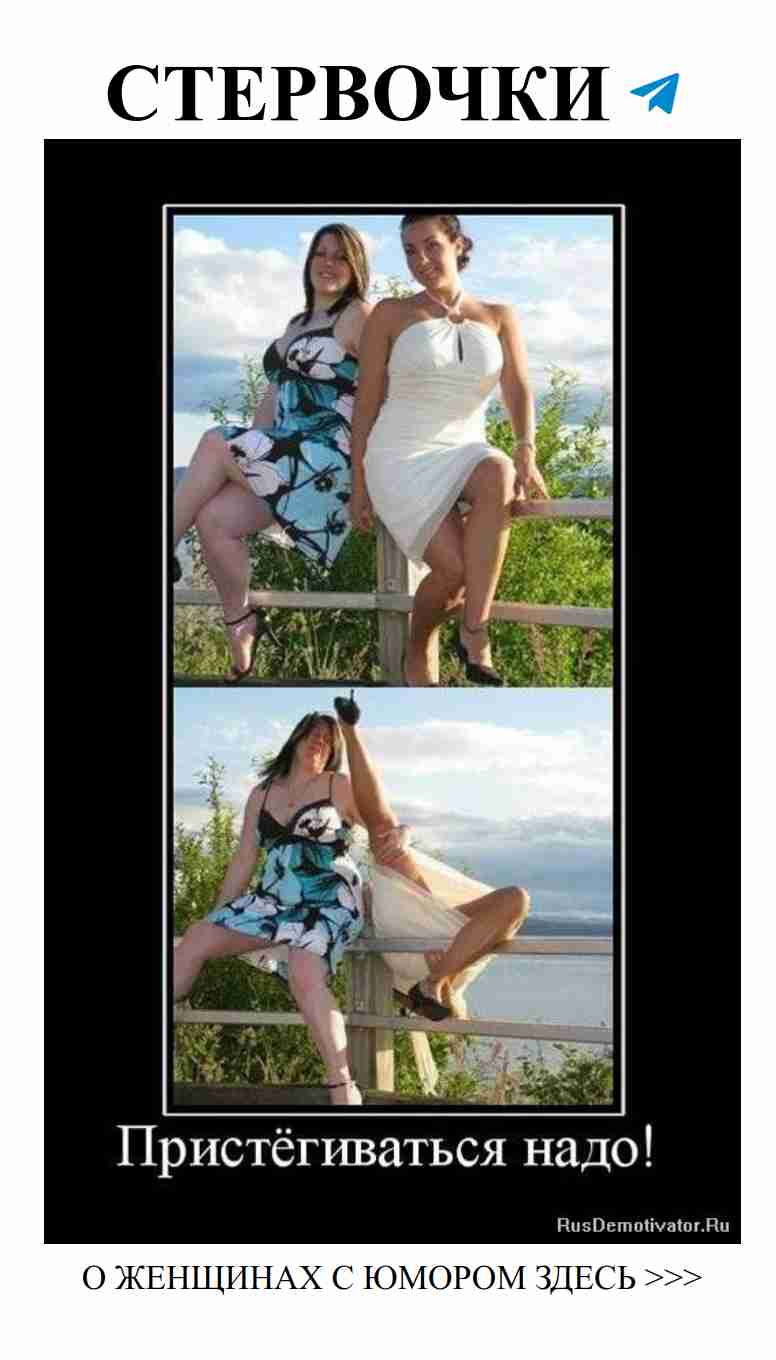 Прикольные фото о любви и кошках для поднятия настроения Прикольные фото о любви и кошках для поднятия настроения