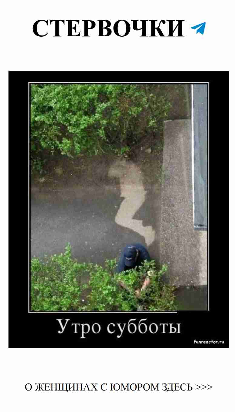 Утренние шутки о любви, которые поднимут настроение Утренние шутки о любви, которые поднимут настроение