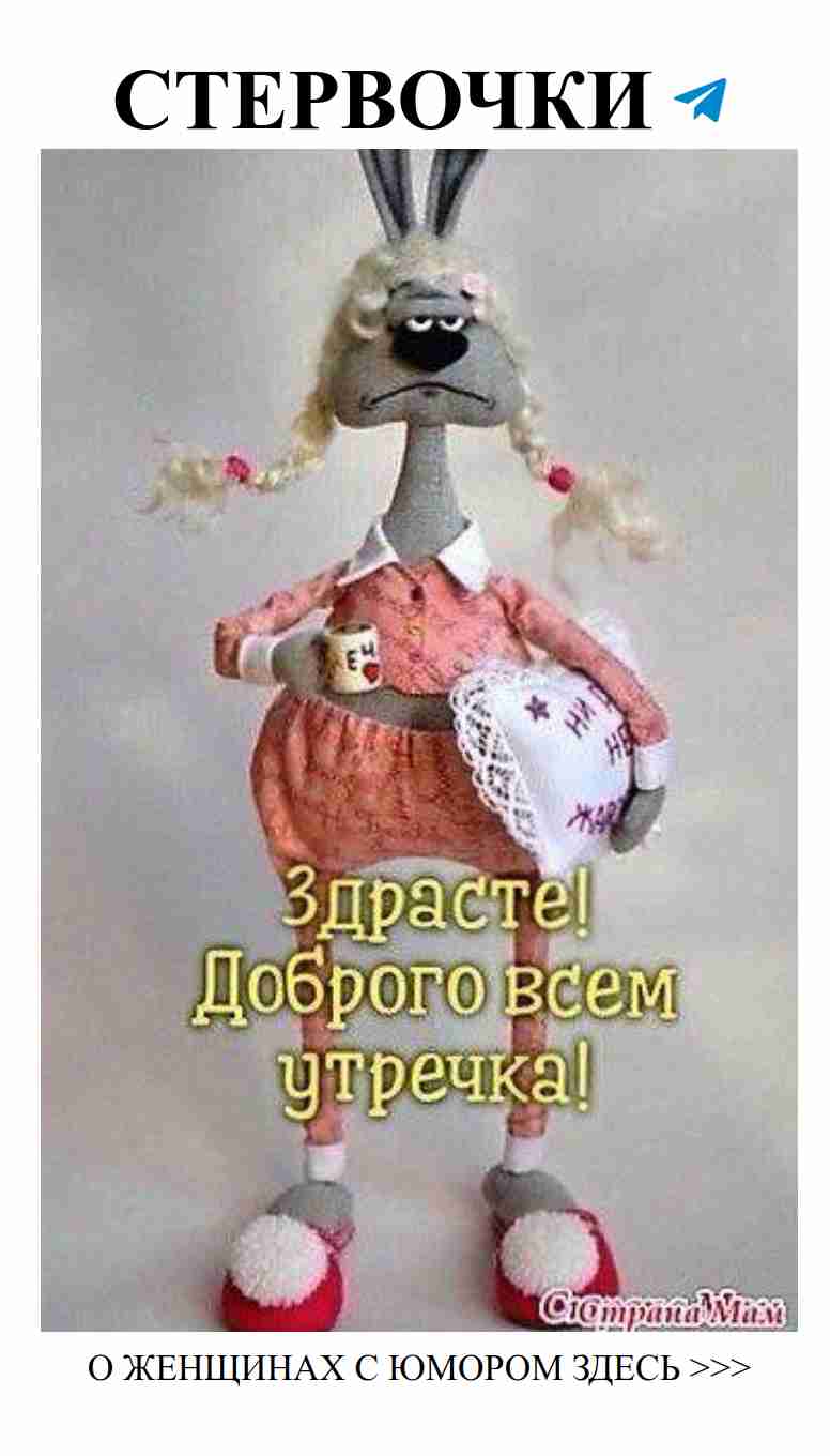 Смешной заяц для любительниц рукоделия и улыбок