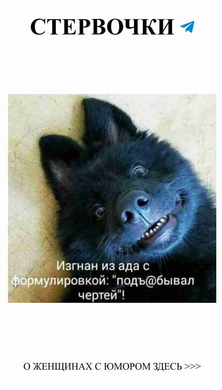 Любовные мемы: подъем настроения и битва с чертями