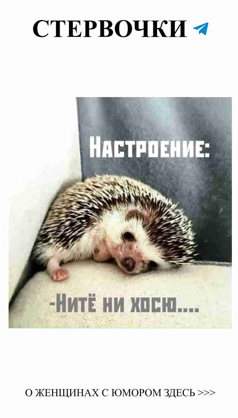 Питейка любви для хорошего настроения