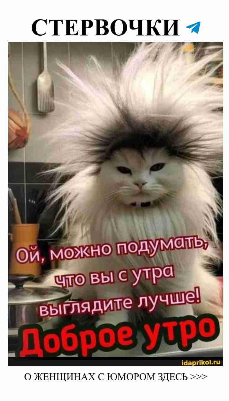Смех и любовь: идеальное утро с АйДаПрикол