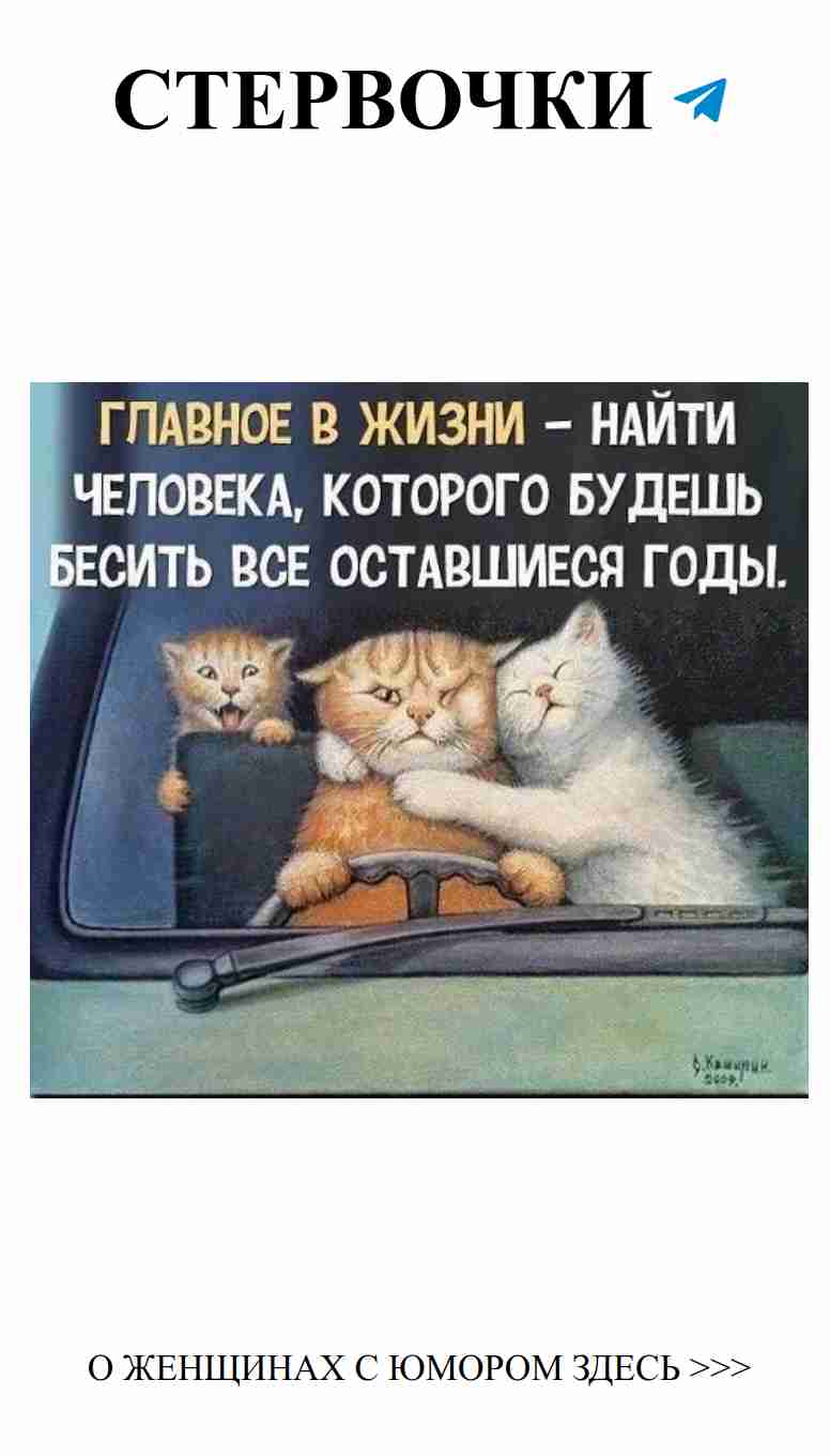 Смех и любовь: веселые истории о женских сердцах