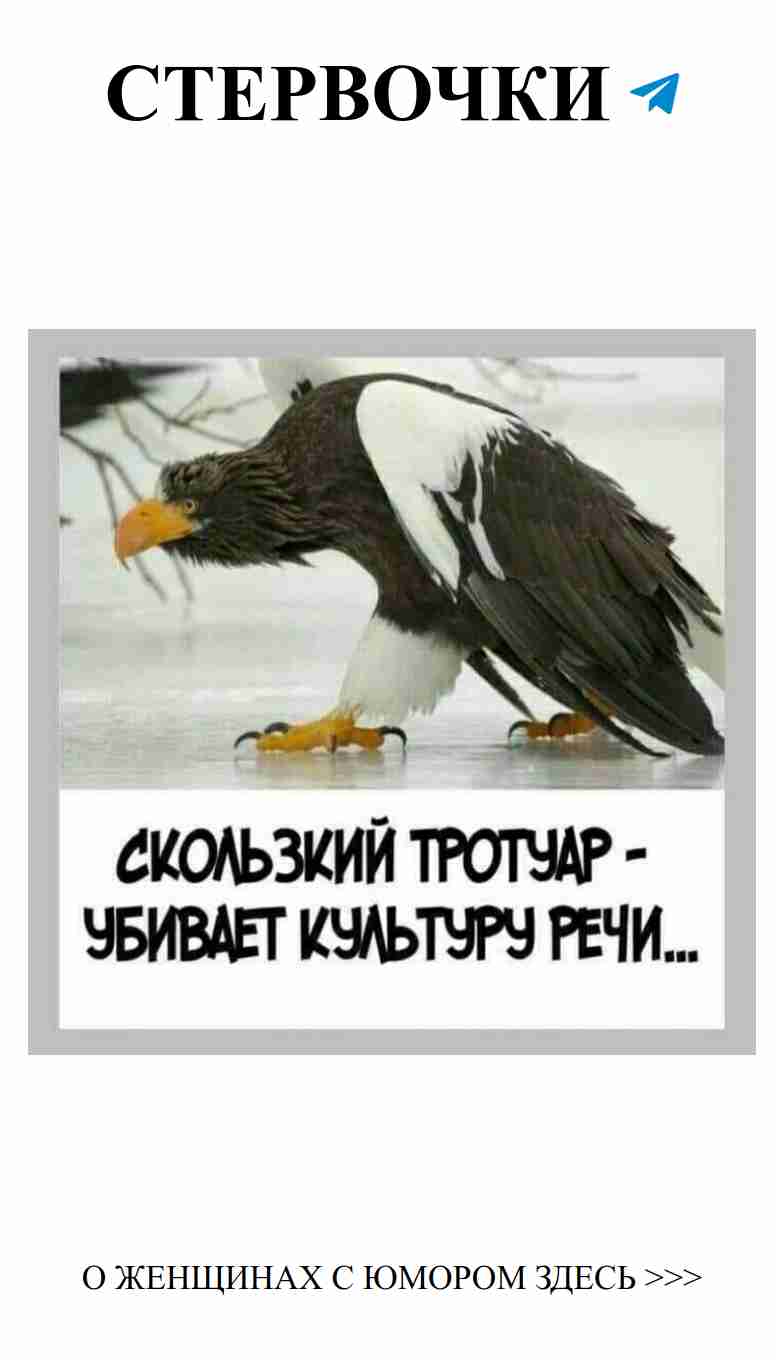 Юмор о любви: открой для себя фото 915795393260 в группе