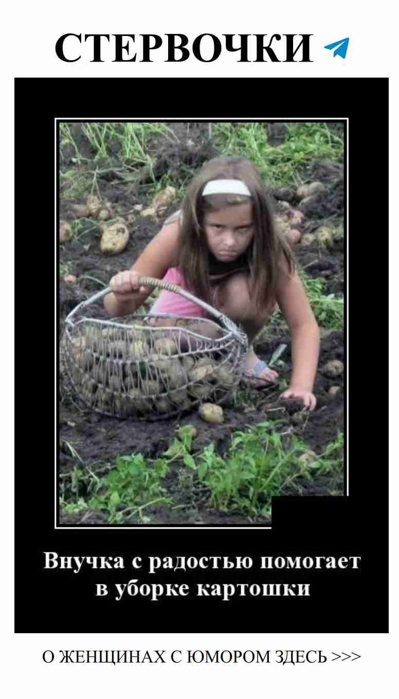 Любовь — это смешно, но мы все равно вяжем! Любовь — это смешно, но мы все равно вяжем!