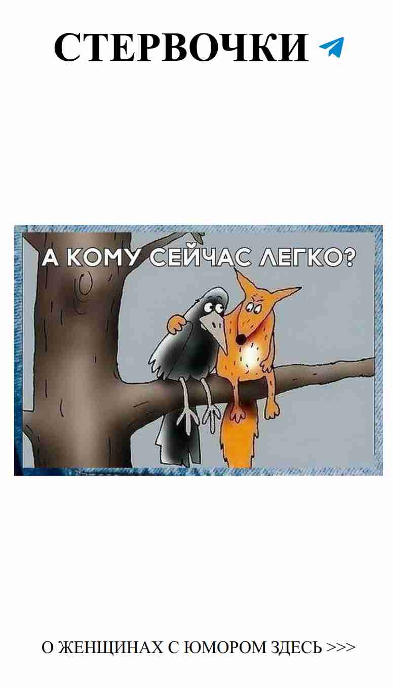 Любовь с юмором: позитивные моменты из жизни