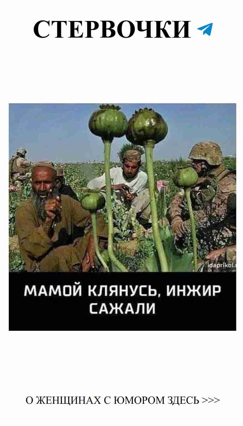 Женский юмор о любви: смейся и наслаждайся жизнью Женский юмор о любви: смейся и наслаждайся жизнью