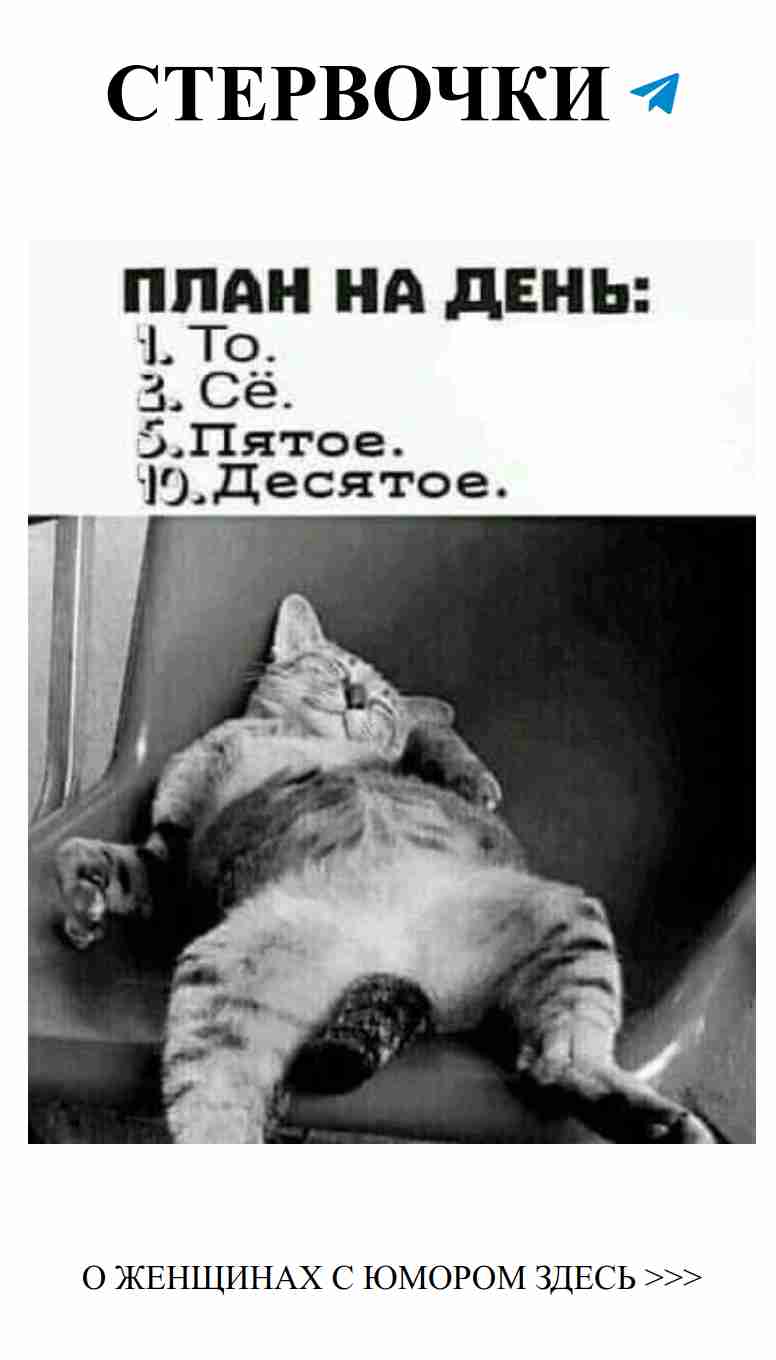 Юмор о любви: смешные открытки для девушек и женщин