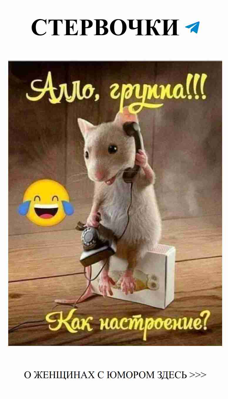 Смешные анекдоты о любви и отношениях для женщин