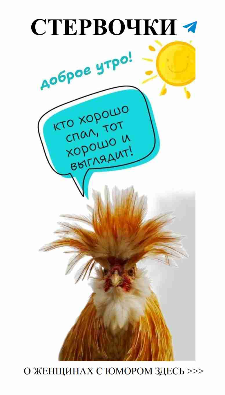 Смешные открытки о любви для поднятия настроения Смешные открытки о любви для поднятия настроения