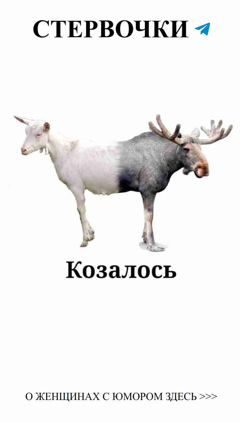 Любовь в мемах: что нас заставляет смеяться? Любовь в мемах: что нас заставляет смеяться?