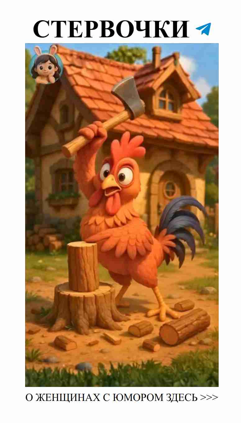 Любовь и смех: Петушок, сова и пирожки для всех! Любовь и смех: Петушок, сова и пирожки для всех!