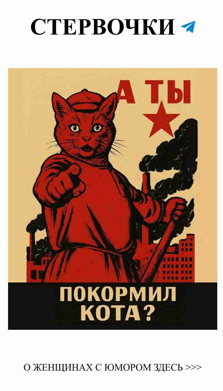 Коты, работающие для любви: советский юмор и милота Коты, работающие для любви: советский юмор и милота