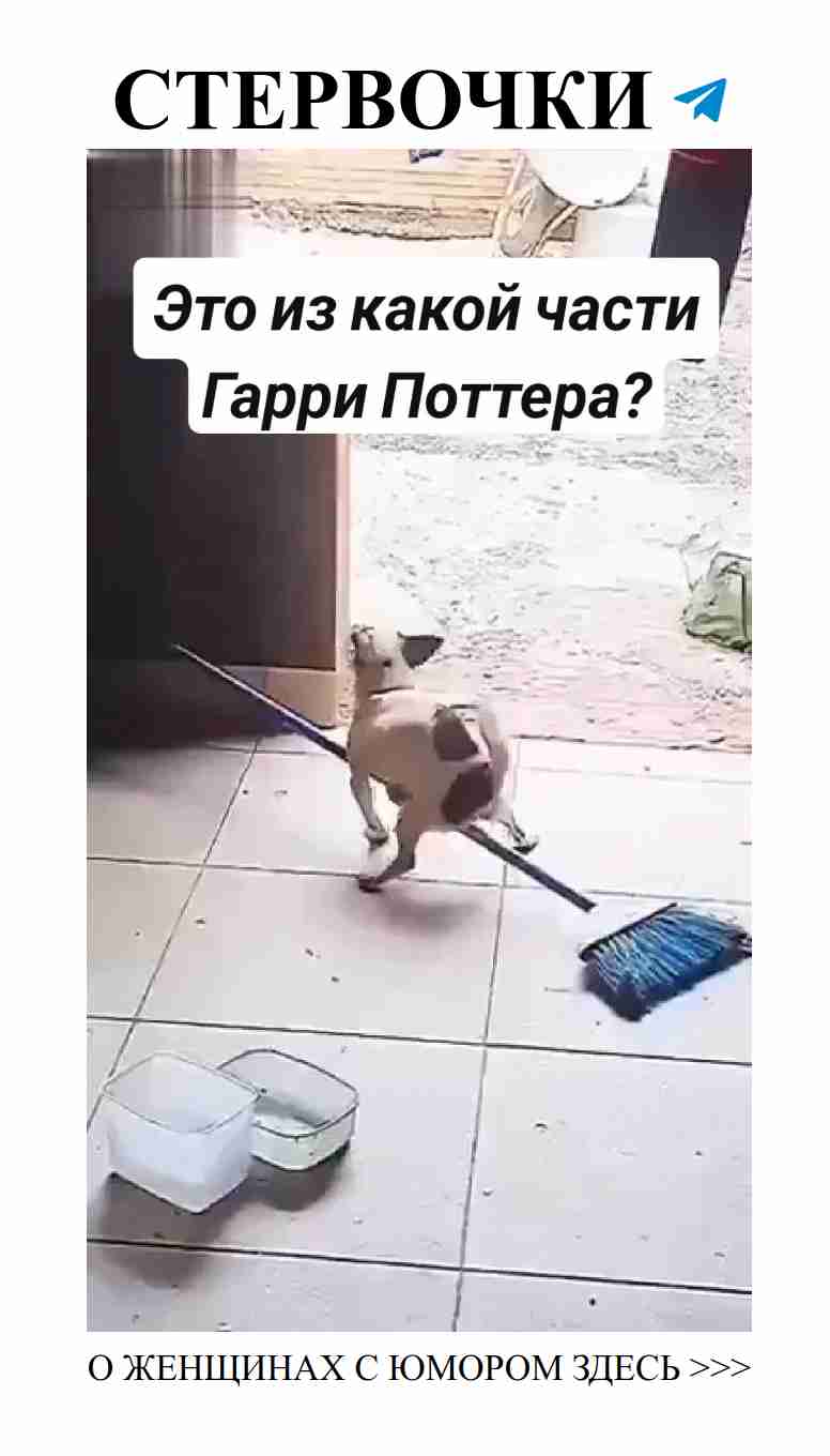 Любовь и смех: Женский взгляд на Гарри Поттера Любовь и смех: Женский взгляд на Гарри Поттера