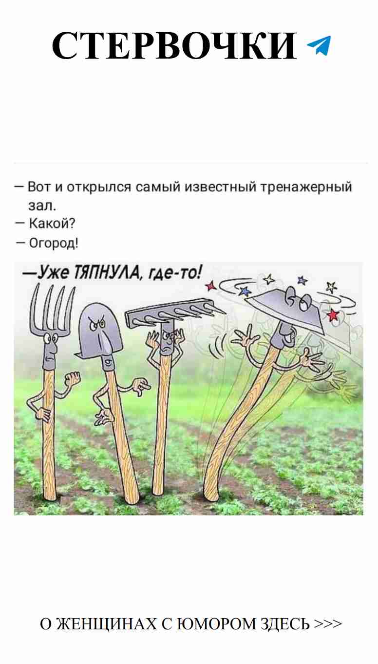 Любовь с юмором: Серьёзные переправы в смешных историях Любовь с юмором: Серьёзные переправы в смешных историях