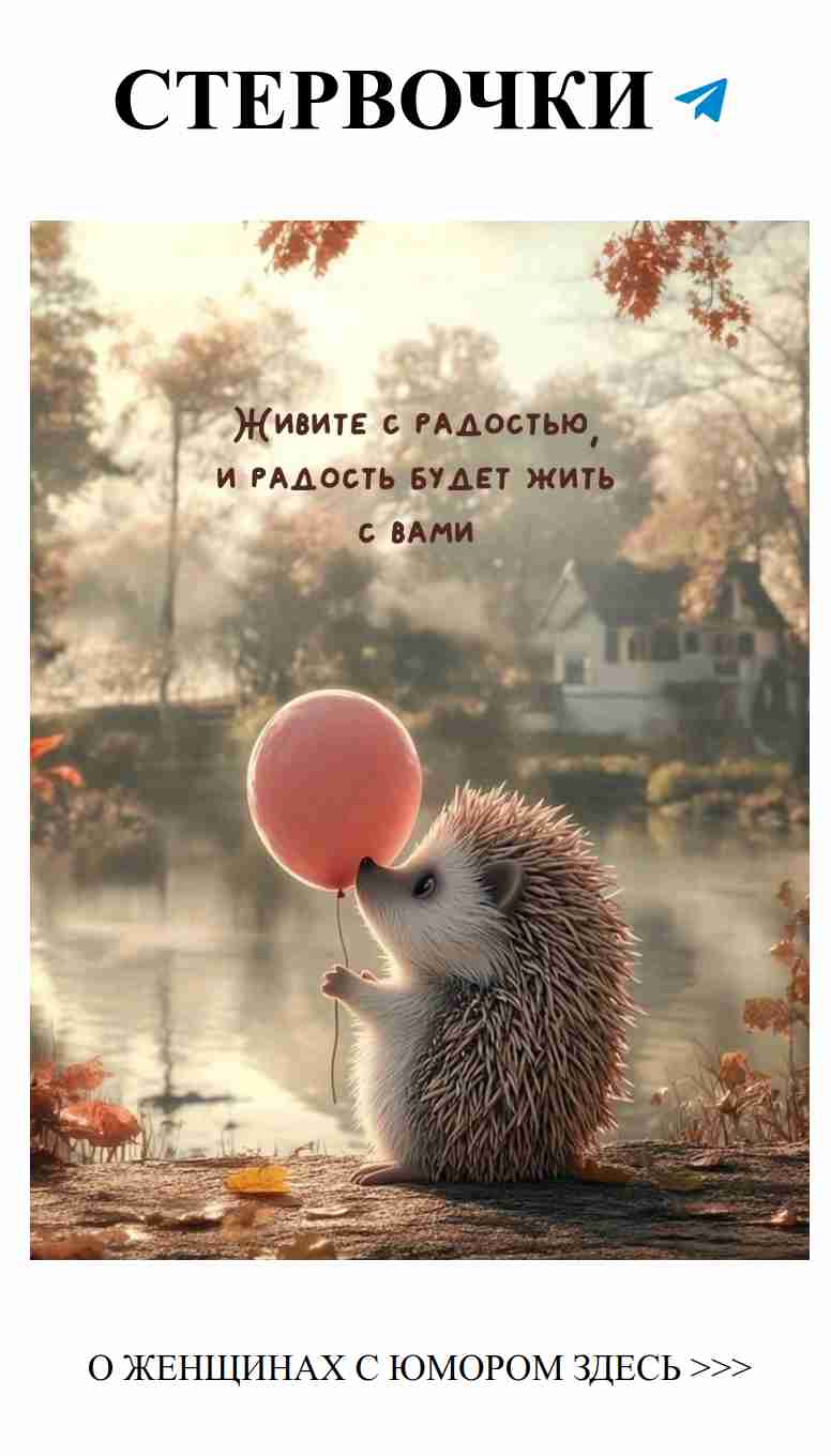 Искренние смешные истории о любви и сарказме Искренние смешные истории о любви и сарказме