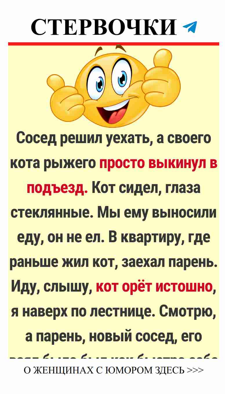 Смешные истории о любви, которые вернут вам веру в людей Смешные истории о любви, которые вернут вам веру в людей