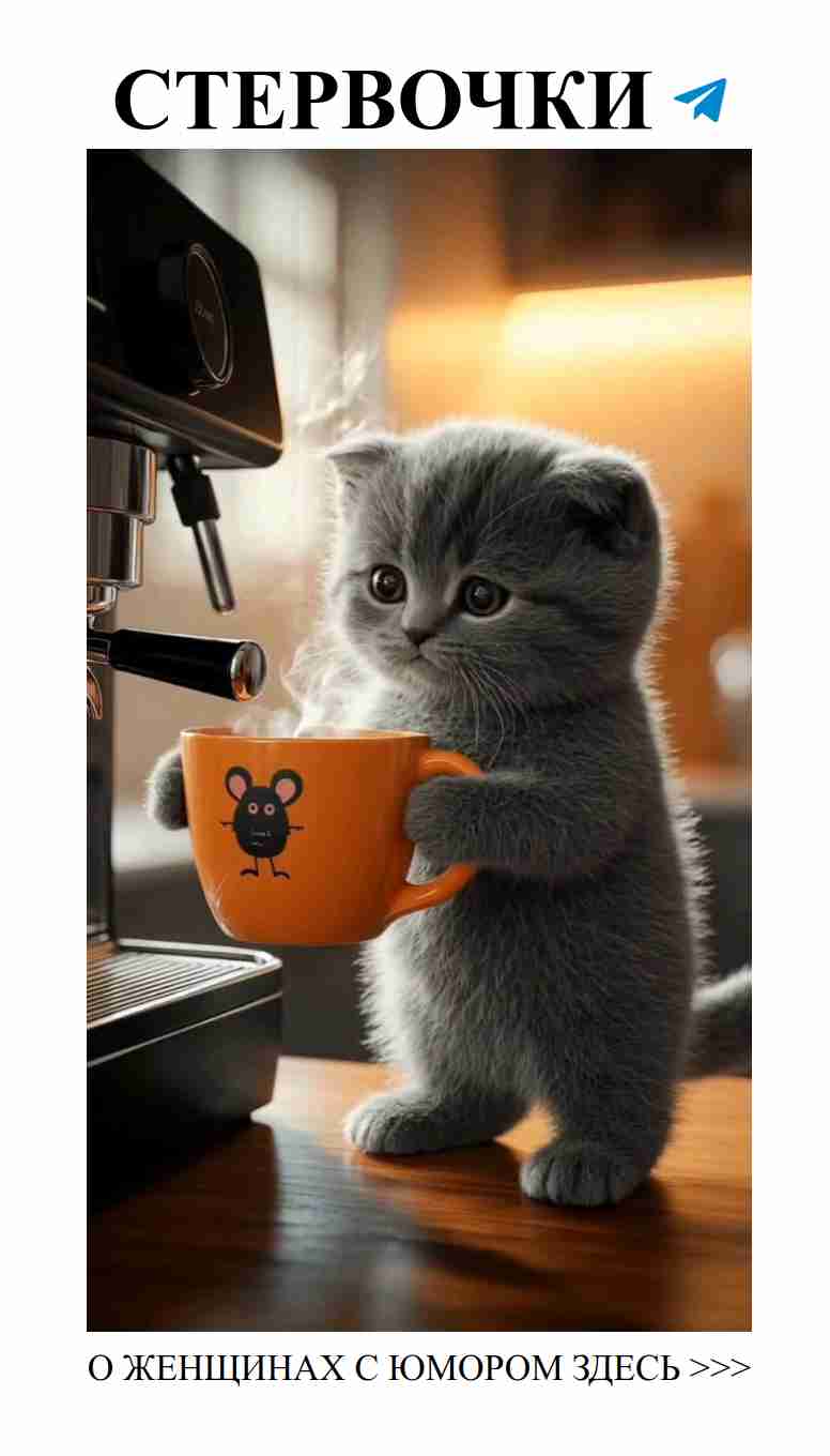 Утро, полное любви и смеха для женщин Утро, полное любви и смеха для женщин