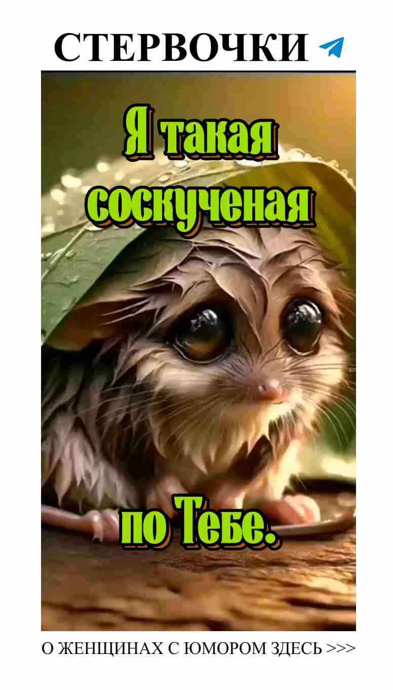 Любовь и смех: как юмор помогает девушкам в отношениях Любовь и смех: как юмор помогает девушкам в отношениях