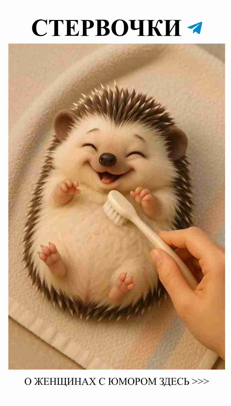 Любовь с юмором: новое настроение и легкость в отношениях Любовь с юмором: новое настроение и легкость в отношениях