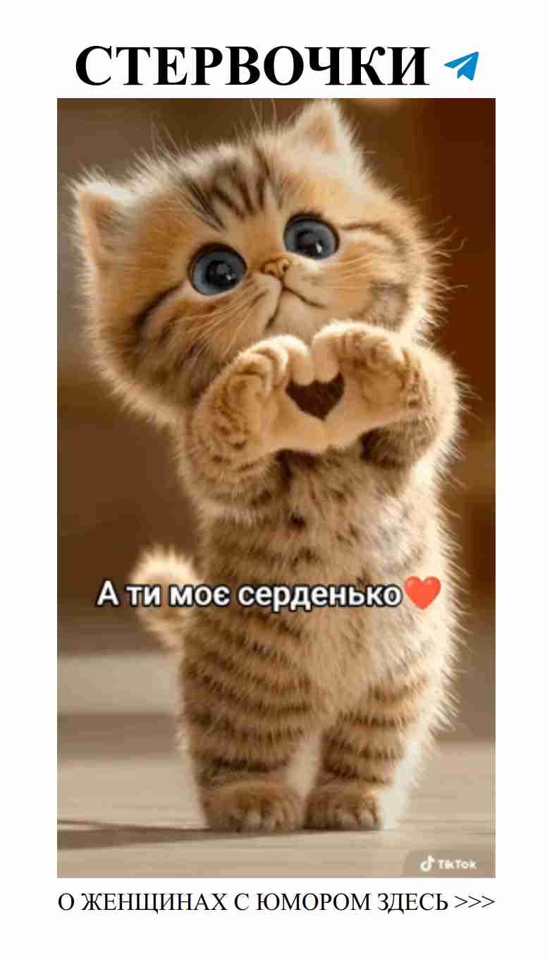 Смех и любовь: в поисках идеального партнёра Смех и любовь: в поисках идеального партнёра