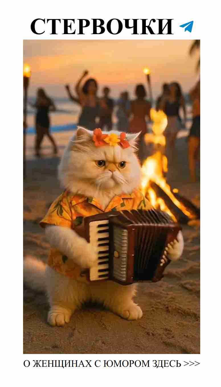 Танцуй от души: любовь и юмор в каждом движении