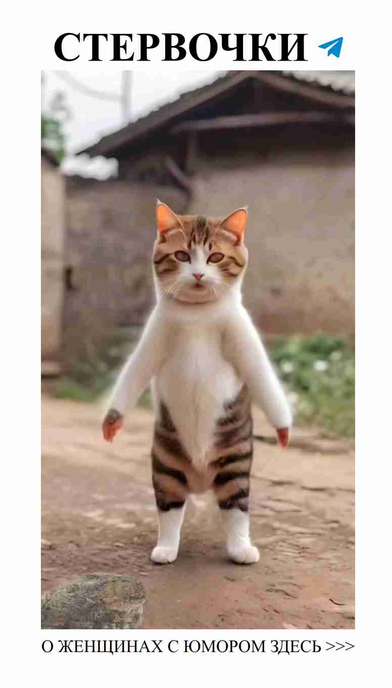 Любовь с юмором: как смеяться вместе и быть счастливыми Любовь с юмором: как смеяться вместе и быть счастливыми