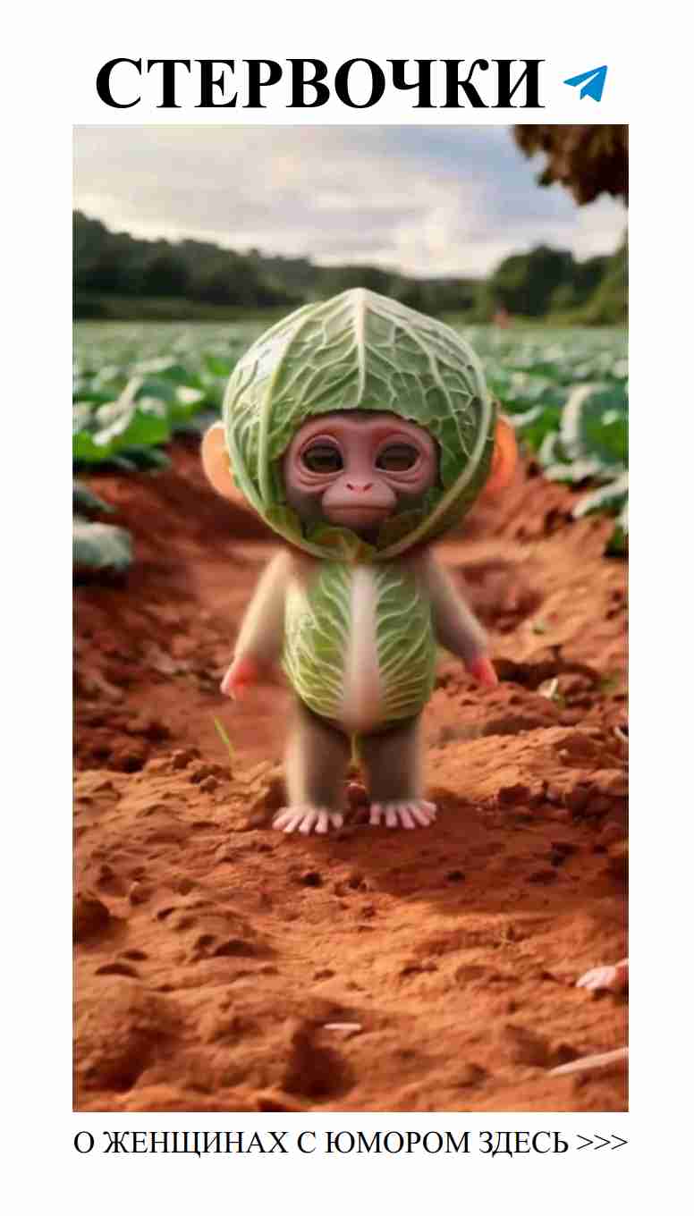 Любовь и смех: как веселиться и не обращать на всё внимания Любовь и смех: как веселиться и не обращать на всё внимания