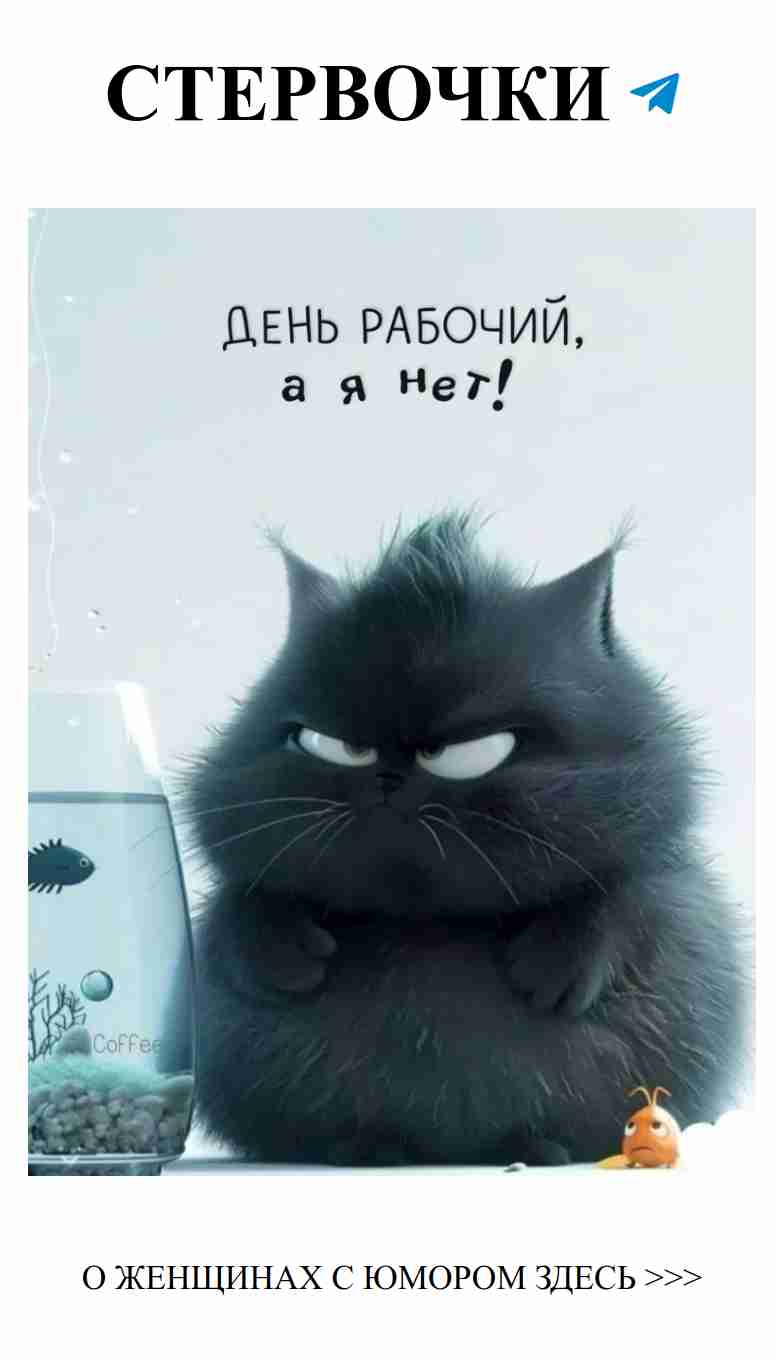 Любовь и смех: как юмор помогает укрепить отношения Любовь и смех: как юмор помогает укрепить отношения