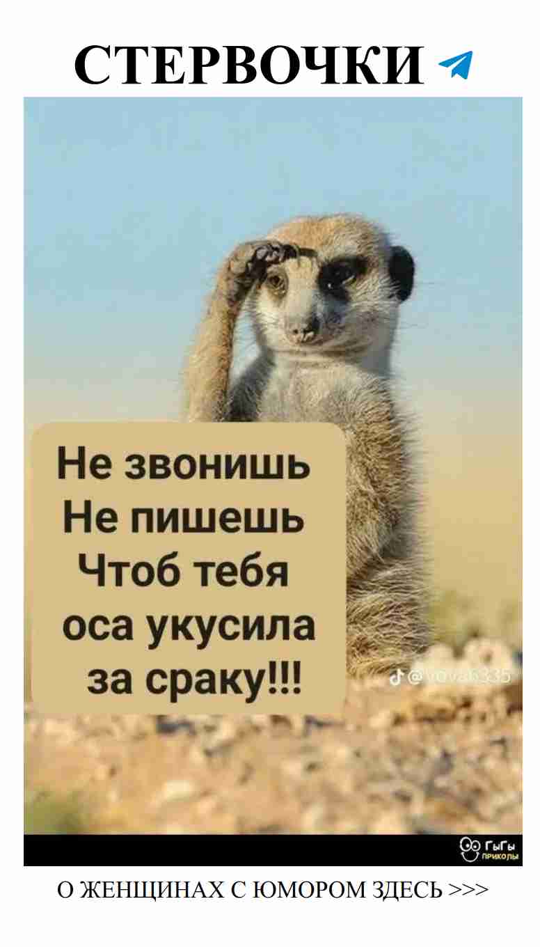 Смех и любовь: как не потерять себя в романтике Смех и любовь: как не потерять себя в романтике