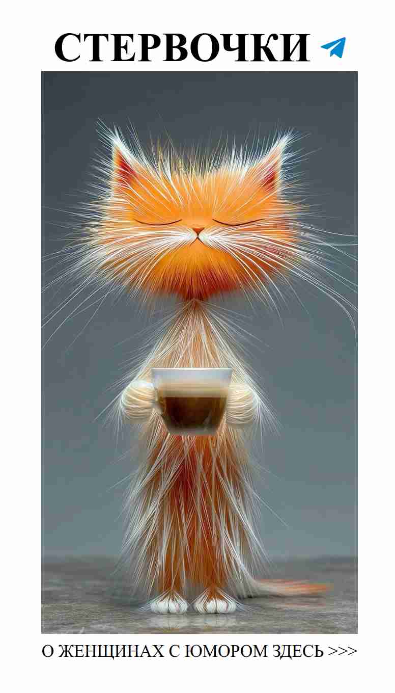 Зимние котики и чашка кофе для уютного вечера Зимние котики и чашка кофе для уютного вечера