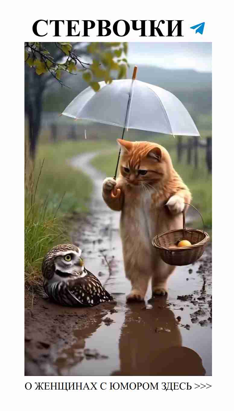 Когда любовь лечит, даже раны становятся смешными Когда любовь лечит, даже раны становятся смешными