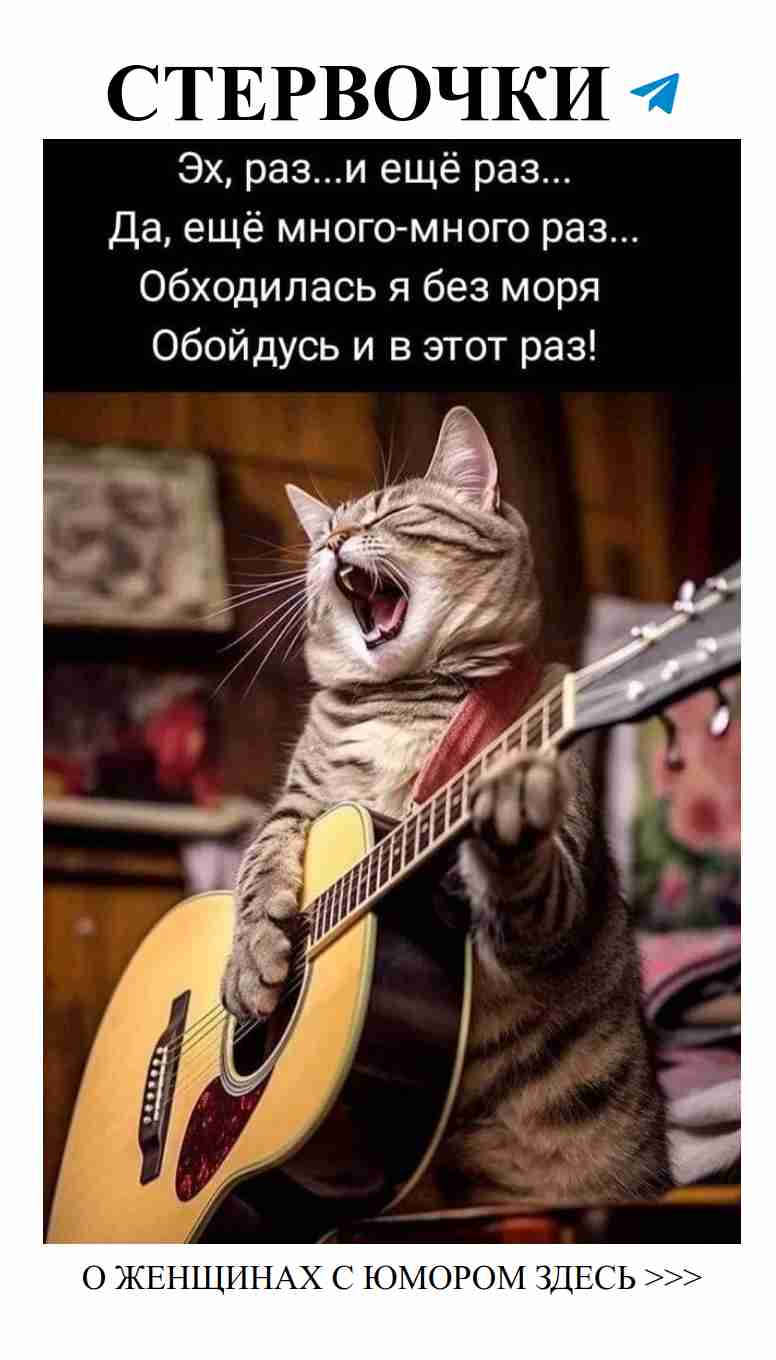 Любовь с юмором: новый взгляд на старые привычки Любовь с юмором: новый взгляд на старые привычки