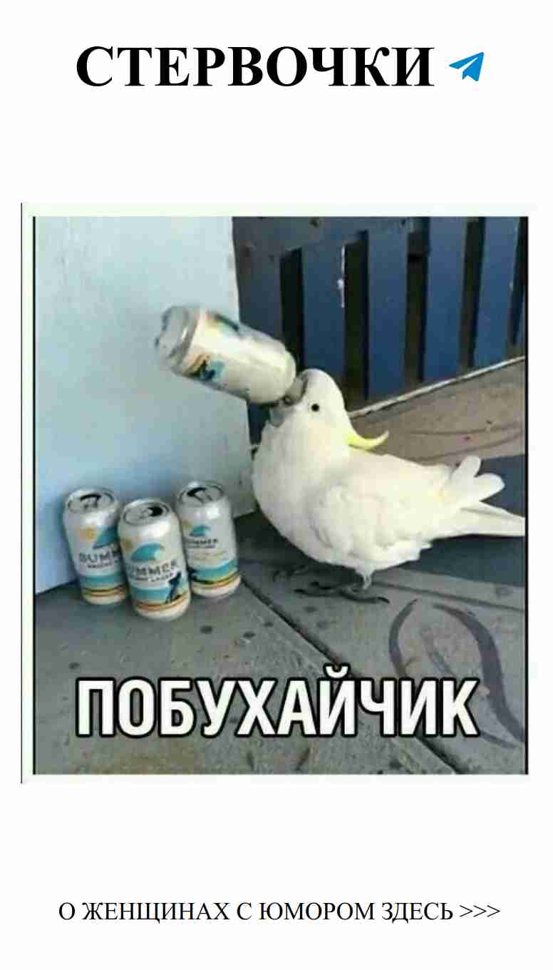 Когда папа видит пиво, это навсегда в его сердце Когда папа видит пиво, это навсегда в его сердце