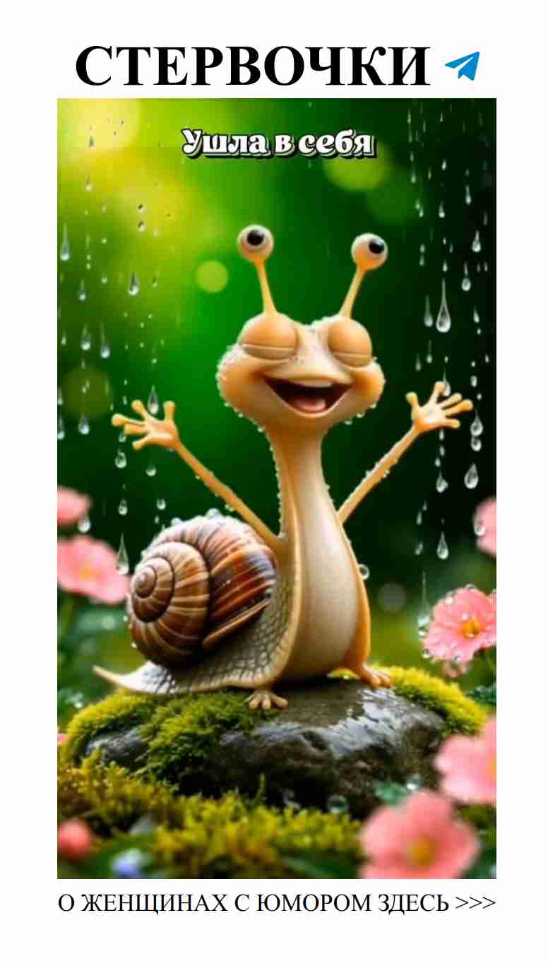 Смех и любовь: уютные моменты женского юмора Смех и любовь: уютные моменты женского юмора