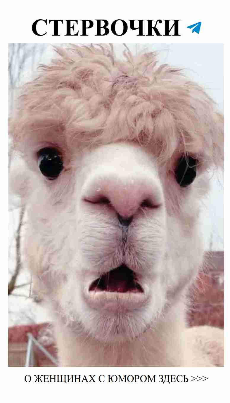 Юмор о любви: как не потерять голову и не упасть в обморок Юмор о любви: как не потерять голову и не упасть в обморок