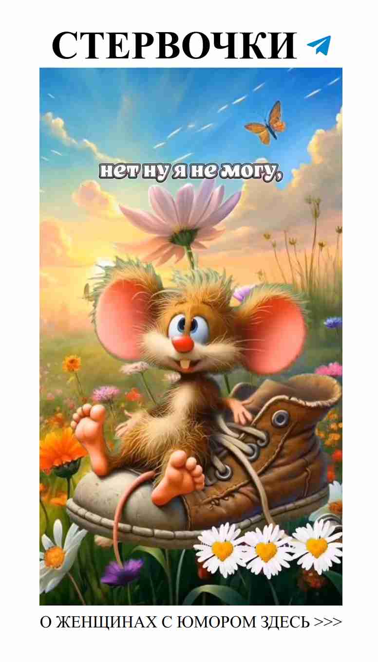 Смейтесь над любовью: женский юмор на каждый день Смейтесь над любовью: женский юмор на каждый день