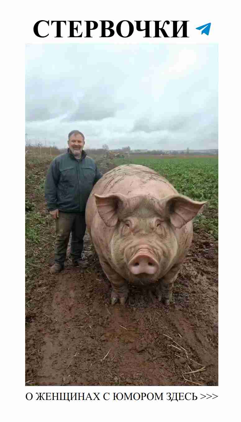 Любовные забавы с большой свинкой на природе Любовные забавы с большой свинкой на природе