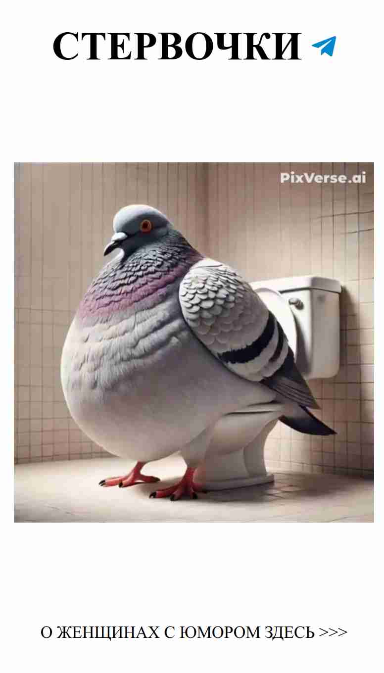 Юмор о любви: когда сердце в ритме смеха Юмор о любви: когда сердце в ритме смеха