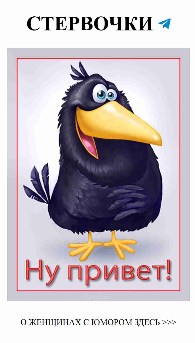 Смех и любовь: женский юмор в каждой ситуации Смех и любовь: женский юмор в каждой ситуации