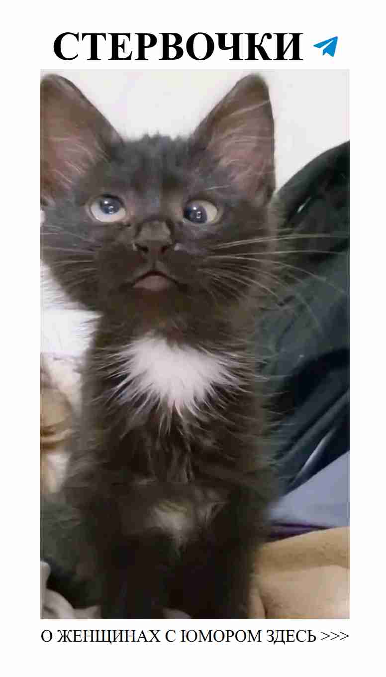 Любовный юмор, который заставит тебя улыбнуться Любовный юмор, который заставит тебя улыбнуться