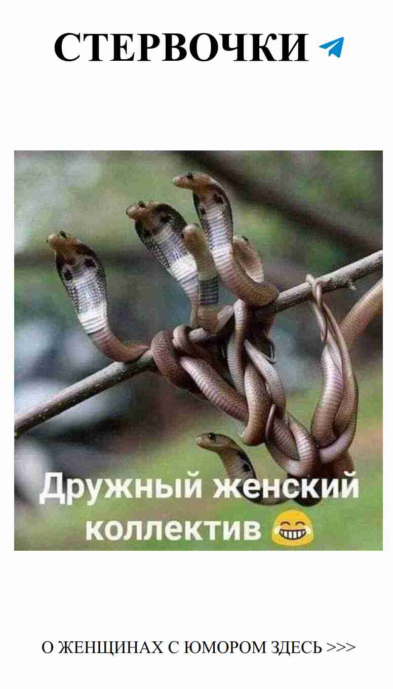 Смех и любовь: как не потерять голову в отношениях