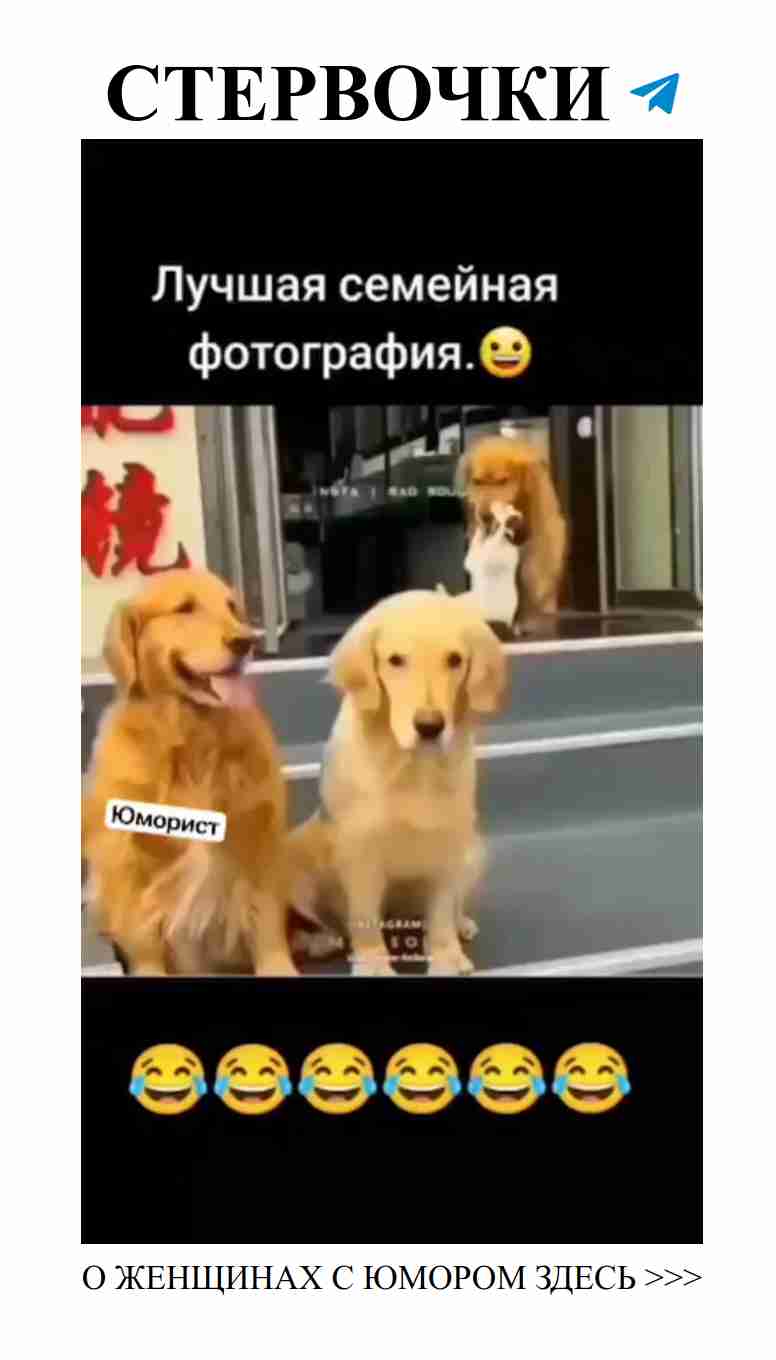 Семейные фотосессии: как поймать момент счастья Семейные фотосессии: как поймать момент счастья