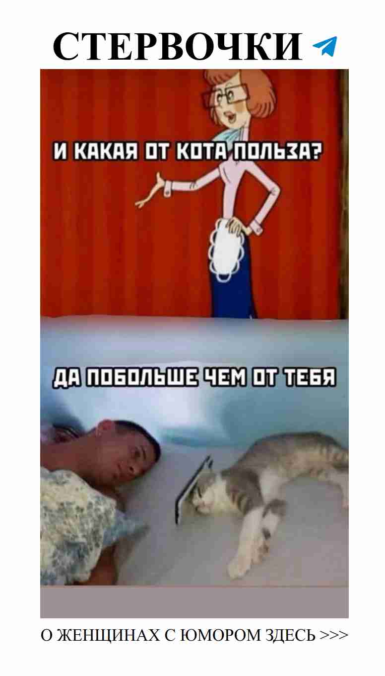 Смешные истории о любви, которые заставят вас смеяться Смешные истории о любви, которые заставят вас смеяться